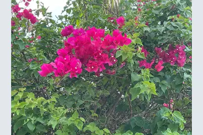 6101 34th Street W #25E, Bradenton, FL 34210 - Photo 46