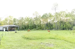 1533 Co Rd 13, Bunnell, FL 32110 - Photo 40