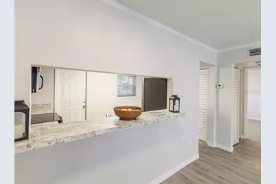 121 Danube Avenue, Tampa, FL 33606 - Photo 8