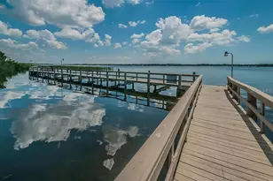 3749 Pendlebury Dr, Palm Harbor, FL 34685 - Photo 56