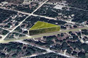 Tbd NE 106th Terrace, Bronson, FL 32621 - Photo 1