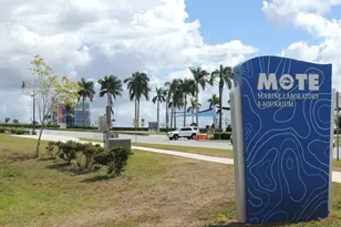 5667 Sheffield Greene Cir, Sarasota, FL 34235 - Photo 42