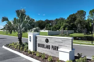 2253 Cypress Crk St, Auburndale, FL 33823 - Photo 40