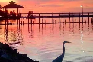 60 Braden Castle Dr, Bradenton, FL 34208 - Photo 26