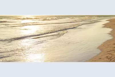 225 Little Pond Lane, Sarasota, FL 34242 - Photo 54