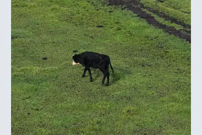 14935 Coker Gully Road, Myakka City, FL 34251 - Photo 12