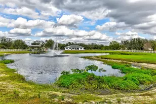 15890 Co Rd 675, Parrish, FL 34219 - Photo 64