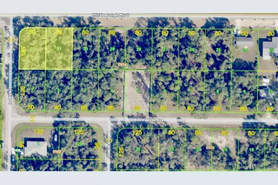 19129 Hillsborough Boulevard, Port Charlotte, FL 33954 - Photo 8