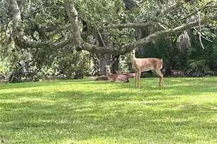 4133 Carriage Dr, Sarasota, FL 34241 - Photo 2