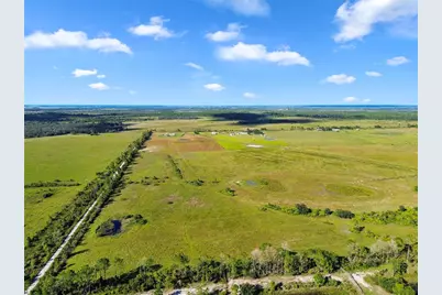 10807 NW Lily County Line Road, Ona, FL 33865 - Photo 6