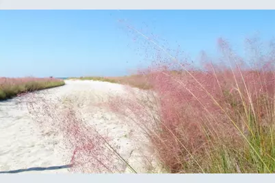 221 Island Circle, Sarasota, FL 34242 - Photo 36