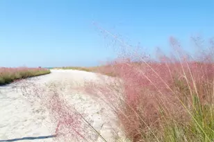 221 Island Cir, Sarasota, FL 34242 - Photo 36