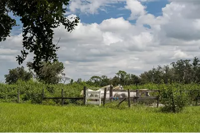 32715 Singletary Road, Myakka City, FL 34251 - Photo 22