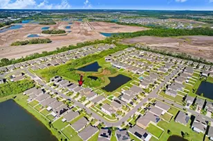 5426 Rainwood Meadows Dr, Apollo Beach, FL 33572 - Photo 40