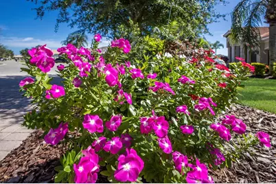 12838 Daisy Place, Bradenton, FL 34212 - Photo 48