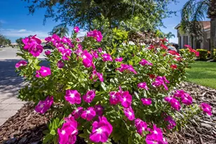 12838 Daisy Pl, Bradenton, FL 34212 - Photo 48