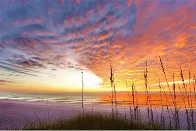 262 Island Circle, Sarasota, FL 34242 - Photo 54