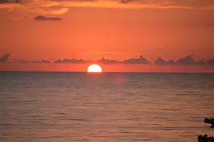 1241 Gulf of Mexico Dr, Longboat Key, FL 34228 - Photo 36