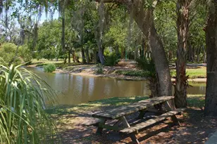 2426 Wisteria St, Sarasota, FL 34239 - Photo 52