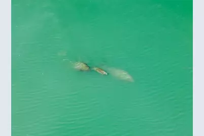 551 S Washington Drive, Sarasota, FL 34236 - Photo 98