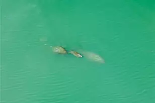 551 S Washington Dr, Sarasota, FL 34236 - Photo 98