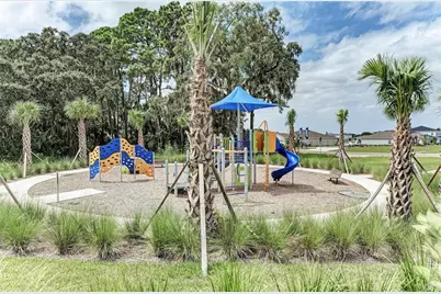 8523 Rain Lily Crossing, Parrish, FL 34219 - Photo 58