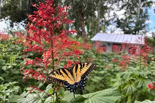 4939 Myakka Valley Trail, Sarasota, FL 34241 - Photo 88