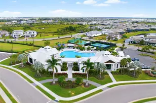 17333 Savory Mist Cir, Lakewood Ranch, FL 34211 - Photo 48