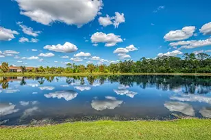 560 Mistiflower Cir, Nokomis, FL 34275 - Photo 48