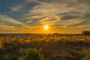 5819 Cavano Dr, Sarasota, FL 34231 - Photo 54