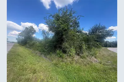 54, 46, 38 Wilmers Road, Punta Gorda, FL 33982 - Photo 6