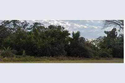 Lecanto Street, Holiday, FL 34691 - Photo 4