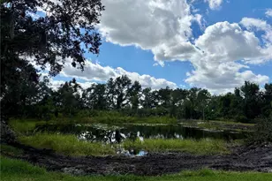 1950 Bern Creek Loop, Sarasota, FL 34240 - Photo 56