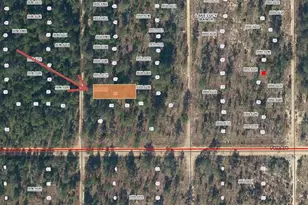 Lot 36 Paxon, Interlachen, FL 32148 - Photo 1