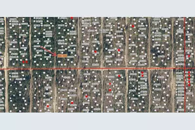 Lot 36 Paxon, Interlachen, FL 32148 - Photo 2