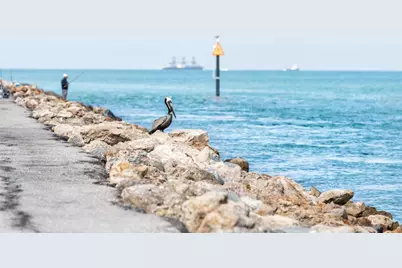 13145 Steinhatchee Loop, Venice, FL 34293 - Photo 52