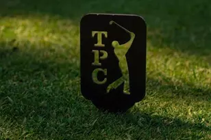 7738 Calle Facil, Sarasota, FL 34238 - Photo 66