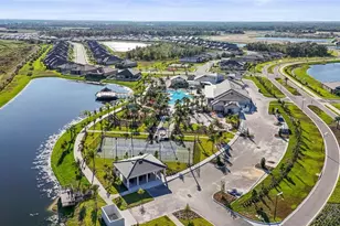 12219 Violet Jasper Dr, Parrish, FL 34219 - Photo 68