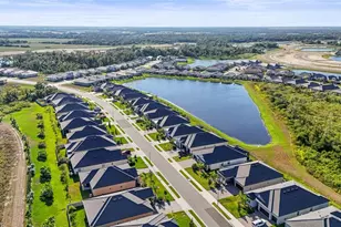 12219 Violet Jasper Dr, Parrish, FL 34219 - Photo 62