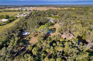 5310 Jim Davis Rd, Parrish, FL 34219 - Photo 64