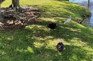 3927 Lake Bayshore Dr, Bradenton, FL 34205 - Photo 48