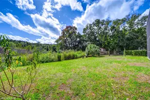 3304 Moran Rd, Tampa, FL 33618 - Photo 60