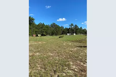 17171 SW 17th Circle, Ocala, FL 34473 - Photo 6