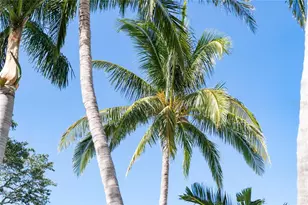 1710 Point Pleasant Ave W, Bradenton, FL 34205 - Photo 6