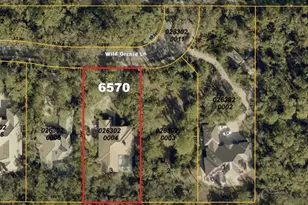 6570 Wild Orchid Ln, Sarasota, FL 34241 - Photo 40