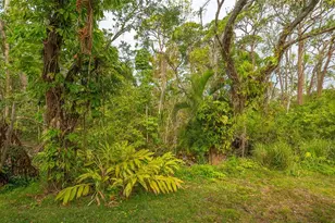 1621 Clower Creek Dr, Sarasota, FL 34231 - Photo 40