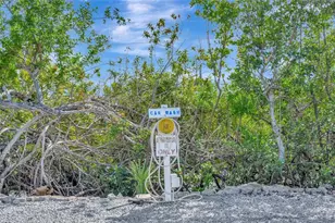 247 Palm Ln, Palmetto, FL 34221 - Photo 50