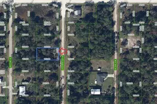 107 Woodmere Ave NE, Lake Placid, FL 33852 - Photo 1