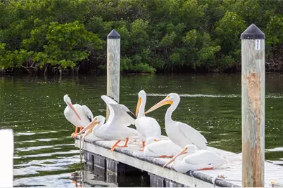 10315 Cortez Road W #19H, Bradenton, FL 34210 - Photo 44