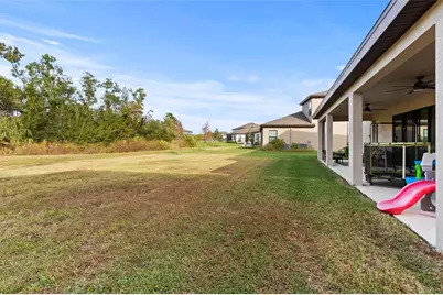 9125 Warm Springs Circle, Parrish, FL 34219 - Photo 32